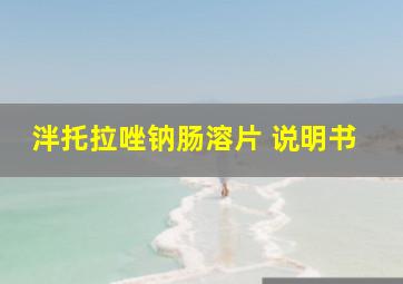 泮托拉唑钠肠溶片 说明书